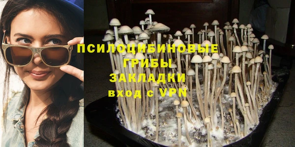 бошки Нея