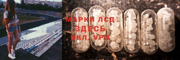 хмурый Нефтекумск