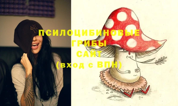 хмурый Нефтекумск