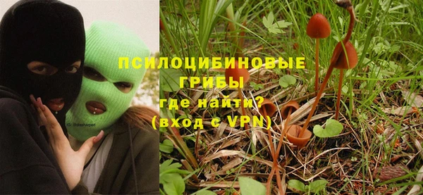 хмурый Нефтекумск