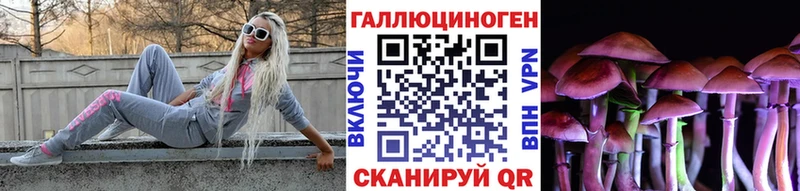 Купить где  Кизел  Галлюциногенные грибы GOLDEN TEACHER 